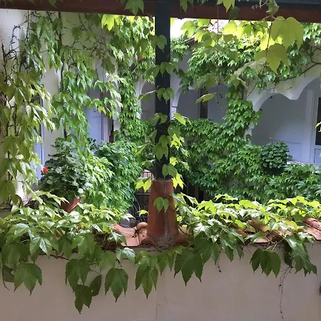 Guest house Casa Ad-ella 3*